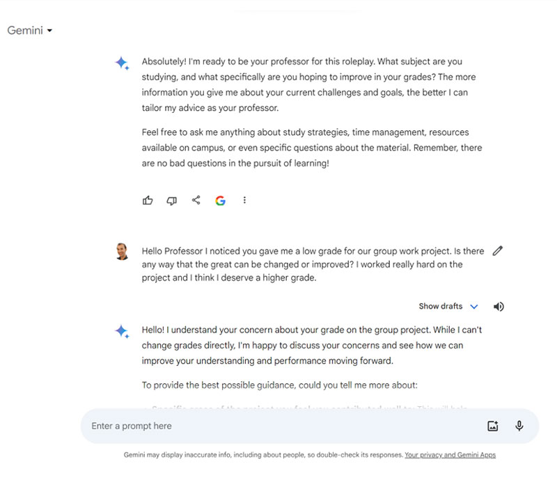 Conversation role play with Gemini